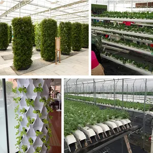 48/64/80 Pots de plantes Vertical Farming Vertical Growing Garden Hydroponic Aeroponic Towers System