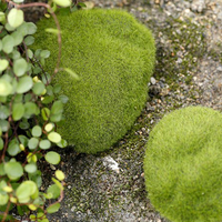 Figurines de pierres naturelles en résine, diverses tailles, vente en gros,