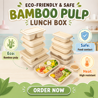 Ochtendglorie-patroon bedrukte, composteerbare papieren salade bento box, lichte maaltijd lunchbox, pulp voedselcontainer, sushi afhaalkartonnen doos