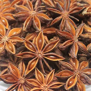 Wholesale Dried Star Anise Spice Chinese Star Anise