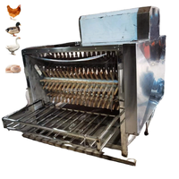 Machine à plumer les poulets / Machine à échauffer la volaille / Machine à échauffer les poulets à chauffage au gaz pour l'abattage