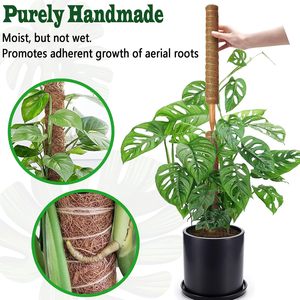 <span class=keywords><strong>Support</strong></span> de <span class=keywords><strong>Plantes</strong></span> Empilable en PVC+<span class=keywords><strong>Bois</strong></span> Anti-Pourriture 12-16 Pouces Écologique Résistant au Vent <span class=keywords><strong>pour</strong></span> Monstera et Bâtons d'Escalade de Jardin Intérieur - Product Image 4