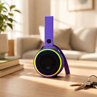 Mini Subwoofer Portable d'Extérieur 5.3 avec Sortie 3W et Batterie Intégrée (200-500mAh) pour la Randonnée, le Bureau et la Maison
