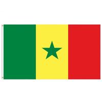 Drapeau du Sénégal 3x5 pieds personnalisé avec logo imprimé, fanion en polyester simple face pour automobiles, bannières nationales et drapeaux de présentation