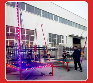 2025 Venta directa de fábrica 2M * 2M * 4m Cabrestante de mano para una sola persona Bungee Light Bungee Jumping Bed Trampolín eléctrico Bungee - Product Image 2