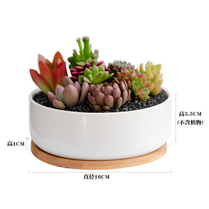 Vente flash Pots à succulentes rectangulaires et ronds en céramique blanche avec <span class=keywords><strong>soucoupe</strong></span> en bambou - Product Image 4