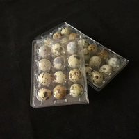 Barquette d'emballage carrée en plastique PET transparent de qualité alimentaire pour œufs de caille, jetable, vente en gros d'usine