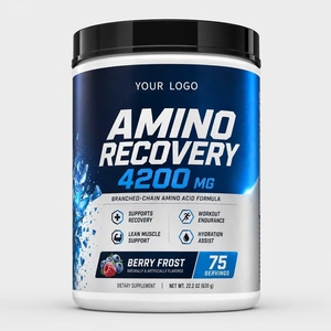 Aminoácido de cadena ramificada mejorado en polvo BCAA instantáneo, suplementos deportivos preentrenamiento personalizados de fábrica con etiqueta privada OEM - Product Image 1