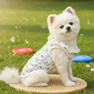 Gilet de princesse respirant et fin pour <span class=keywords><strong>chat</strong></span> et chien, résistant aux poils, avec attache pour laisse, idéal pour l'été - Product Image 1