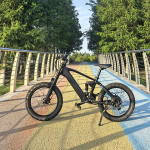 LBK02 Vélo électrique urbain pour enfants 36V Lithium 750W Moteur frein à disque hydraulique - Product Image 2