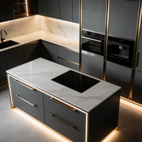 Meubles de cuisine de luxe minimalistes avec accents dorés, lave-vaisselle intégré et éclairage d'ambiance sous l'îlot