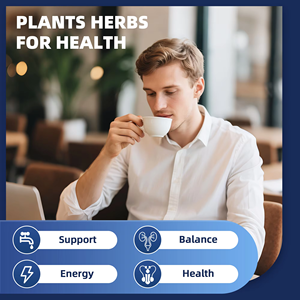 Sachets de thé aux herbes naturelles prêts à l'emploi OEM ODM, sans caféine, sans gluten, favorisent l'équilibre et l'énergie pour le bien-être - Product Image 2