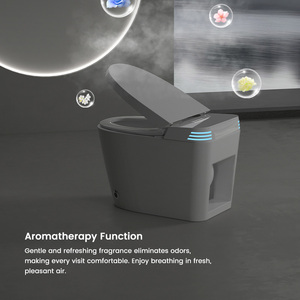 Inodoro Inteligente Moderno sin Contacto, de Una Pieza, con Bidé y Descarga Automática, con Sensor de Pie, para Venta al por Mayor en América del Norte - Product Image 4