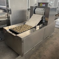 Ligne de production de biscuits mous pour animaux de compagnie Machine de fabrication de friandises pour chiens Mini machine à biscuits pour ancien chien