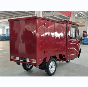 Tricycle Trike Three Wheeler 3 Wheel Bike With 2000W Motor and Delivery Closed - Product Image 4