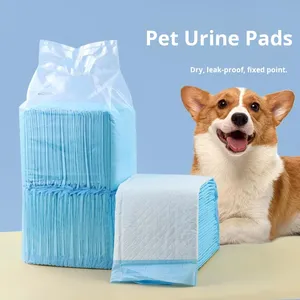 Tek Kullanımlık Köpek Çiş Pedi ve Kedi İdrar Pedleri Kalınlaştırılmış İdrar Geçirmez Emici Dokunmamış Kumaş Evcil Hayvan Tuvalet Eğitimi - Product Image 1