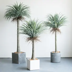 Palmeira artificial plantas, venda ao ar livre decoração plástico palmeiras artificiais