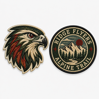 Parches Bordados Personalizados para Coser, de los Philadelphia Eagles y Atlanta Falcons, para Ropa de Marca