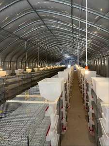 Capannone Intelligente per Allevamento Avicolo - Controllo IoT di Alimentazione, Abbeveraggio e Illuminazione - Product Image 5