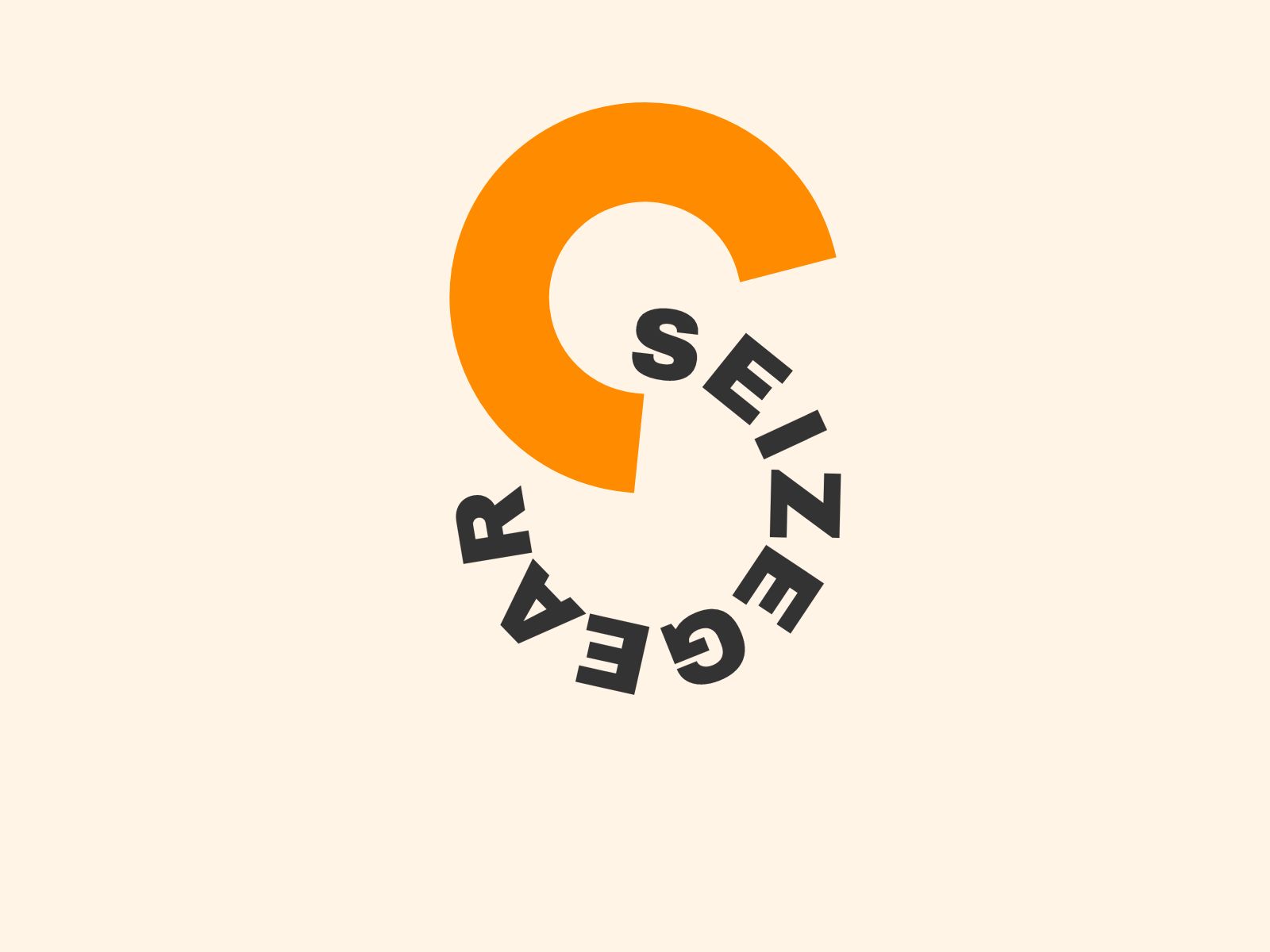 Seizegear (Shanghai) Supply Chain Management Co., LTD. logo
