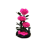 Festival créatif cadeau lampe à LED fleur éternelle dôme en verre amour en forme de Rose 7-8cm avec coffret cadeau ensemble saint valentin noël