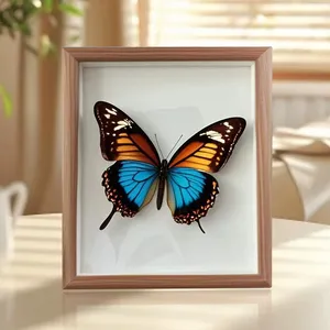 Cornice Fotografica Moderna con Esemplare di Farfalla Misteriosa Ecologica, Ornamento Natalizio Creativo e Personalizzato da Appendere al Muro - Product Image 4