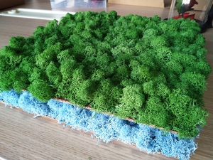 Rêu Khô Tất Cả Các Màu Với Giá Rẻ Ổn Định Địa Y - Product Image 3