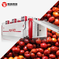 Industriële koffieboonbanddroger, industriële fruitdroogmachine, fruitdroogmachine, koffiekersenbanddroger