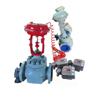 วาล์วควบคุมการไหลแบบนิวแมติกที่ได้รับการรับรอง และตัวควบคุมดิจิตอล DVC6200 - Product Image 1