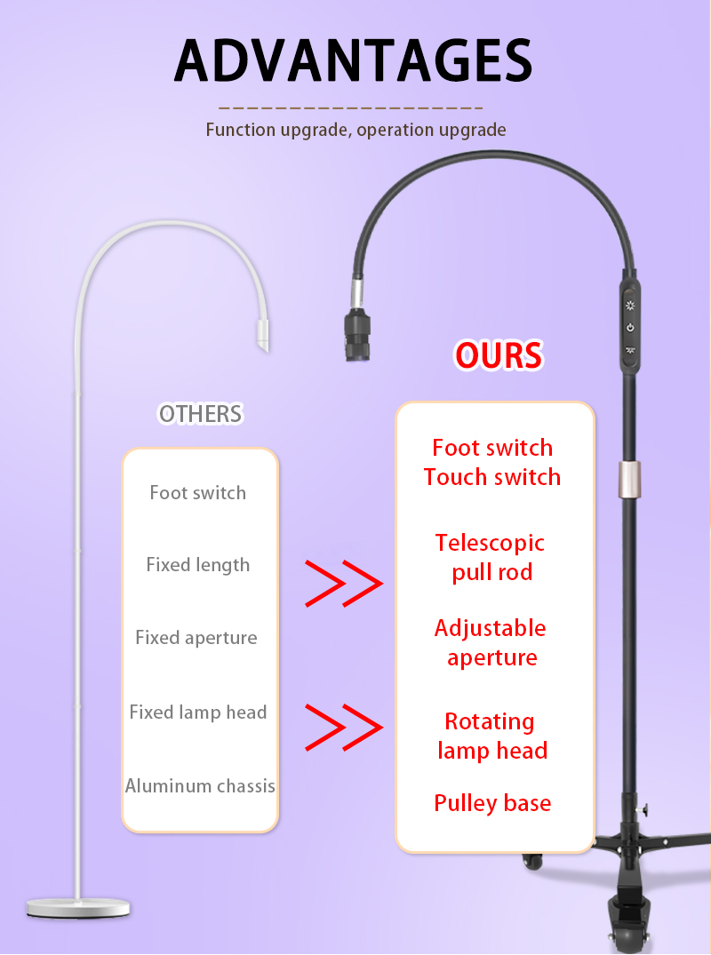 lash uv led lamp 10 w