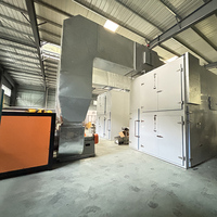 Séchoir à convoyeur automatique pour aliments, machine à sécher les oignons, machine à sécher le gingembre, ligne de production de séchage continu des légumes