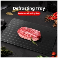 Plateau original de dégivrage de la viande Plaque de dégivrage rapide pour les aliments Tapis de décongélation naturel de grande taille Planche de décongélation rapide