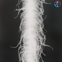 Plumes de qualité châle teint en vrac 10-15 cm Boa de plumes d'autruche noire pour les décorations de fête de carnaval artisanat couture