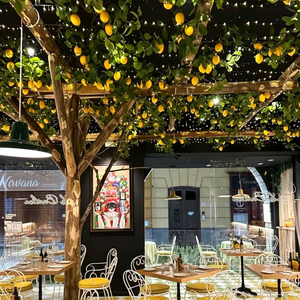 Nouvelle Arrivée Guirlande Artificielle de Citrons Verts Style Italien Thème Citron Décoration Hôtelière Décoration de Plafond - Product Image 1