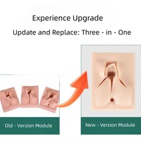 Nouveau simulateur de formation médicale pour sutures d'incision périnéale, modèle de vulve en silicone pour la formation aux traumatismes médicaux