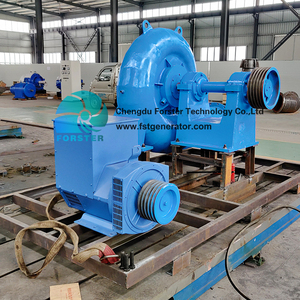 프리 에너지 75kw 프랜시스 수력 터빈 발전기 포스터 HL220-WJ-35 18m-60m 디자인 헤드 220V/380V/400V - Product Image 3