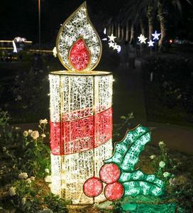 Sculpture <span class=keywords><strong>lumineuse</strong></span> LED 3D en forme de baies pour extérieur, avec structure en fer, pour projets commerciaux, décoration d'espaces publics et vitrines de fêtes - Product Image 2