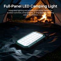 Banque d'alimentation solaire d'extérieur avec 16 LED pour le camping et charge USB