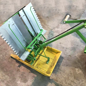 Trapiantatrice per Riso di Alta Qualità a Due File a Spinta Manuale Seminatrici e Trapiantatrici - Product Image 4