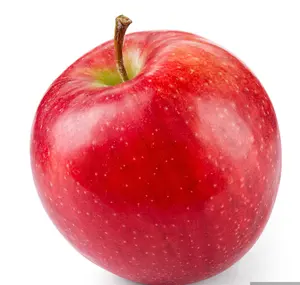 China Factory offre de nouvelles pommes fraîches Delicious Apple de Apple Gardens fuji