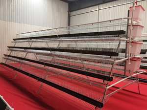 กรงประเภท A ขนาดใหญ่ที่ให้อาหารนก2000 5000ตัวด้วยมือและเครื่องรวบรวม<span class=keywords><strong>ไข่</strong></span>กรง<span class=keywords><strong>ไก่</strong></span>แบบ A 4ชั้นพร้อมที่ดื่มถ้วย - Product Image 3