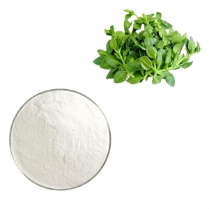 Extracto de Andrographis <span class=keywords><strong>Paniculata</strong></span>, Extracto Herbal, Suministro de Fábrica, Venta al Por Mayor - Product Image 1