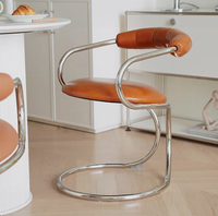 Fauteuil de salle à manger moderne en acier inoxydable durable, chaise de coiffeuse de chambre à coucher, fauteuil créatif design en forme de serpent avec dossier, pour la maison et les loisirs
