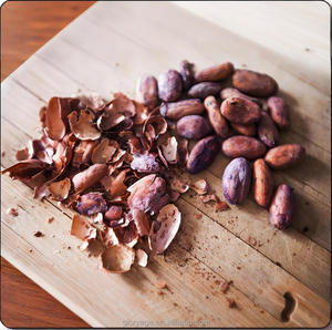 Extrait de cacao pour tonique capillaire utilisé dans les formules anti-amincissement des cheveux - Product Image 2