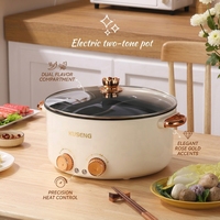 Marmite de cuisson électrique automatique 1600W en gros avec séparateur à deux saveurs, poêle électrique antiadhésive avec couvercle en verre