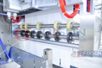 Almohadilla de fruta absorbente para secado de alimentos, máquina de embalaje de tipo líquido, precio de fábrica