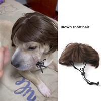 Perruques pour animaux de compagnie Perruques pour chiens Perruques pour chats Cheveux bouclés ou raides Accessoires pour Halloween
