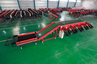 Knoflook sorteermachine groente- en fruitsorteermachine sorteermachine voor massaproductie sorteerapparaat voedingsmiddelenmachines