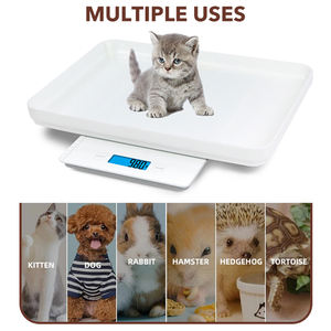 푸른 이빨 10kg 20kg 수의기구 가정용 개 고양이 무게 애완 동물 유리 디지털 저울 - Product Image 3