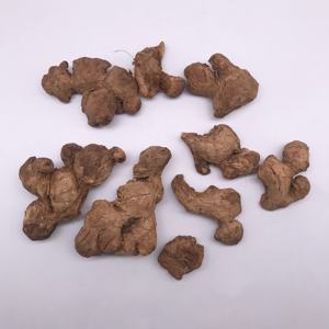 โรงงานเสี่ยวอี๋ฉาง ขายตรงสมุนไพรจีนโบราณ ขิงแห้ง (Zingiberis Rhizoma Praeparatum) ผ่านกระบวนการอบแห้ง - Product Image 4